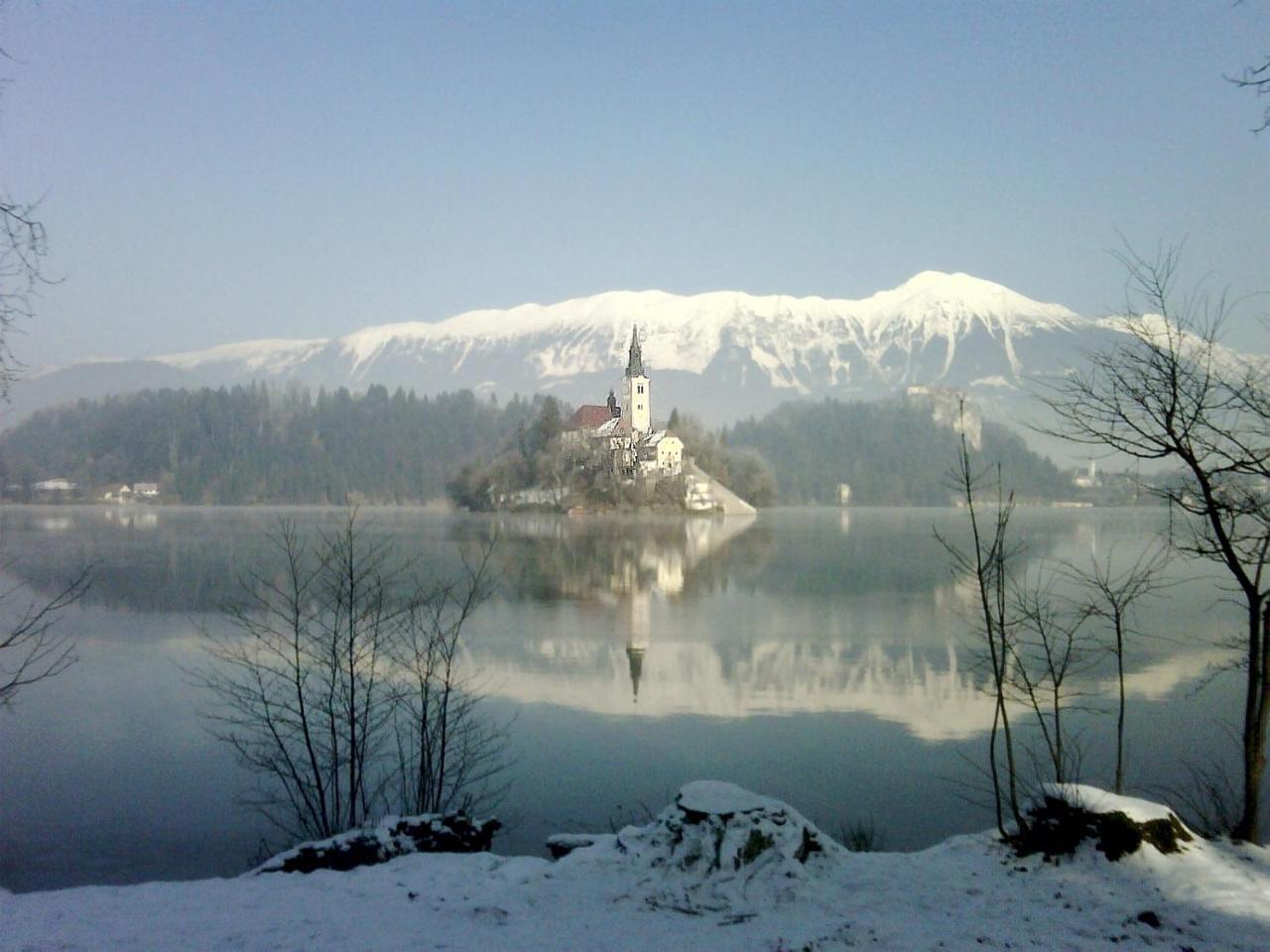 Holiday Home Katricnek Bohinjska Bela Eksteriør bilde