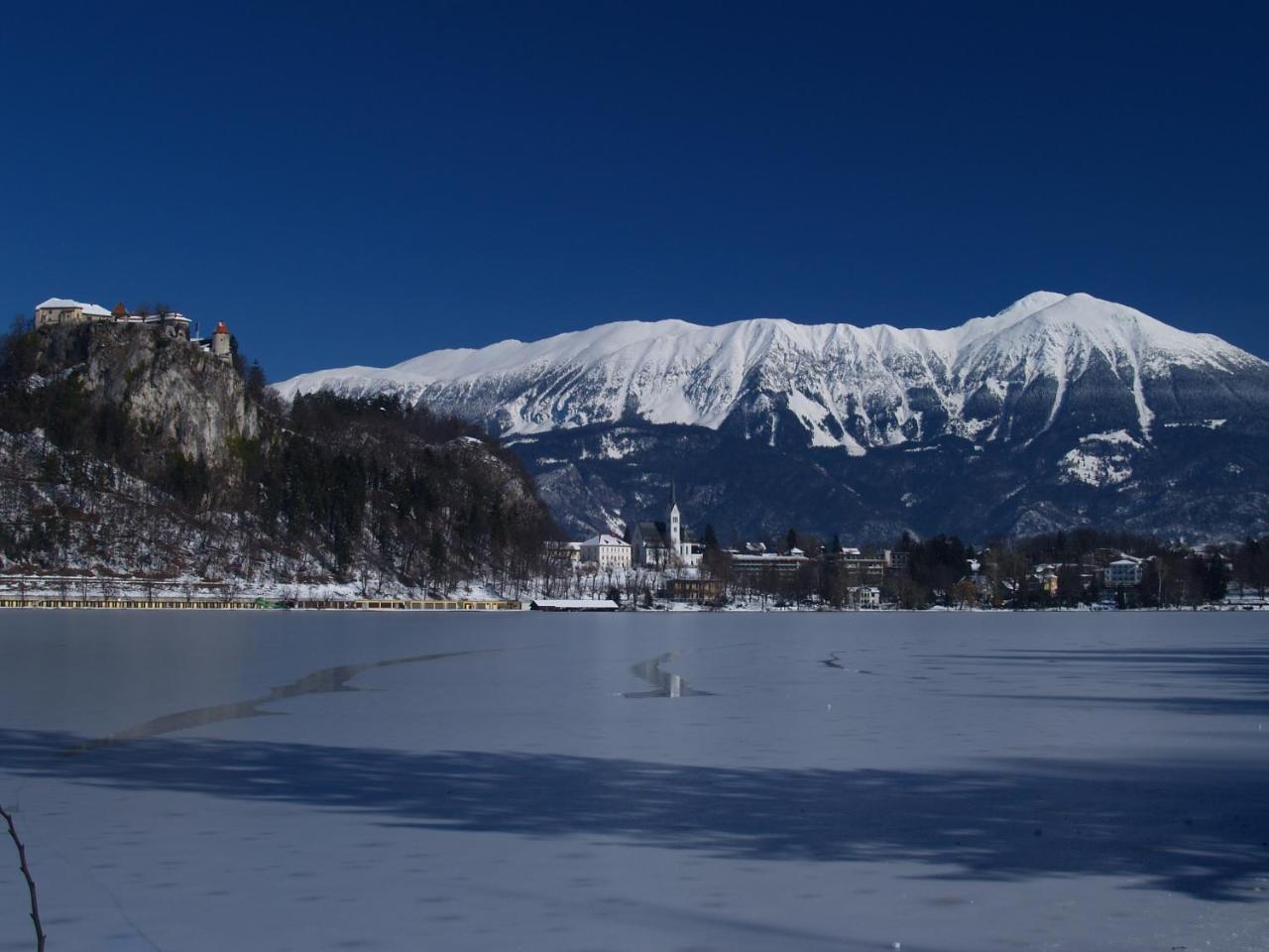 Holiday Home Katricnek Bohinjska Bela Eksteriør bilde
